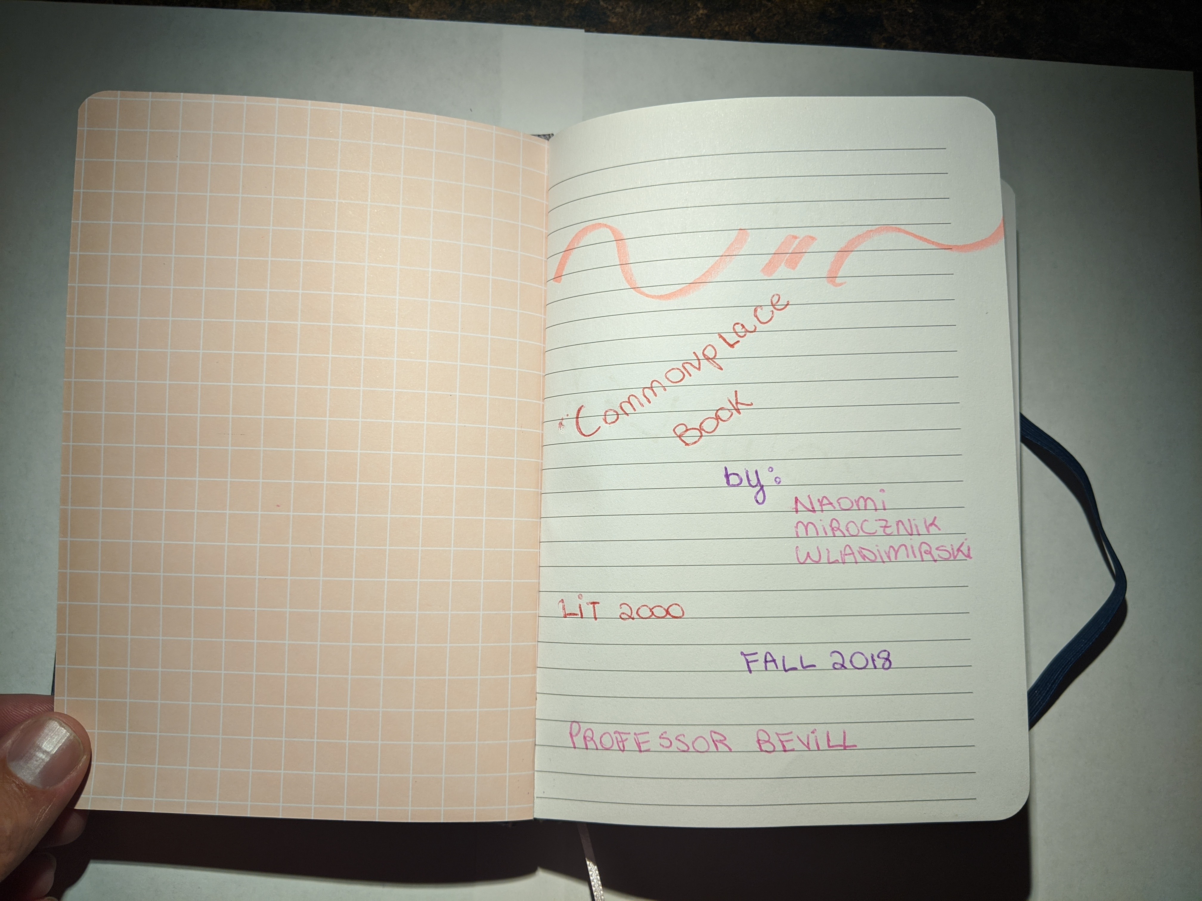 LIT 2000 Commonplace Book - USF - Fall 2018 - Pages 3-4