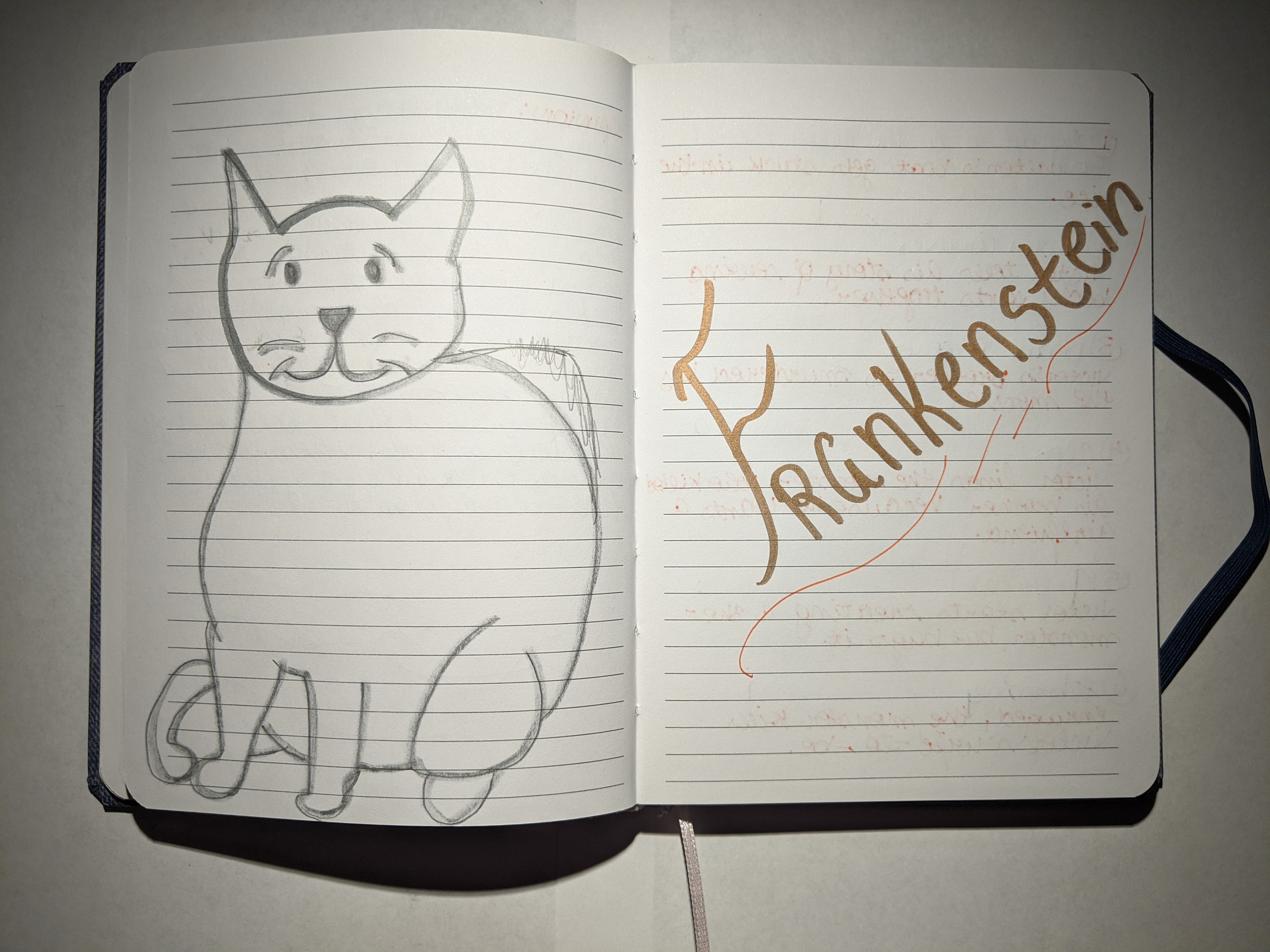 LIT 2000 Commonplace Book - USF - Fall 2018 - Pages 45-46